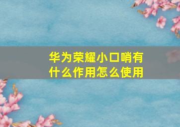 华为荣耀小口哨有什么作用怎么使用