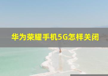 华为荣耀手机5G怎样关闭