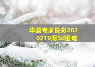 华夏专家说彩2020219期3d图谜