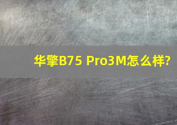 华擎B75 Pro3M怎么样?