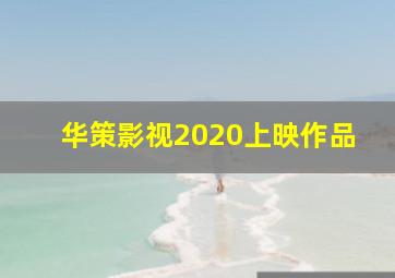 华策影视2020上映作品(