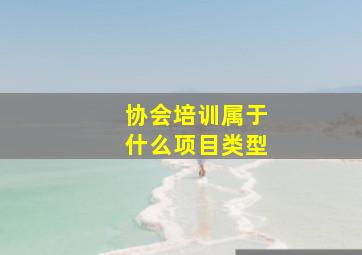 协会培训属于什么项目类型