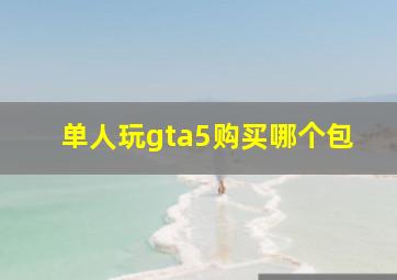 单人玩gta5购买哪个包