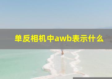 单反相机中awb表示什么(