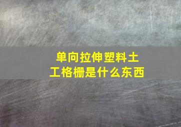 单向拉伸塑料土工格栅是什么东西