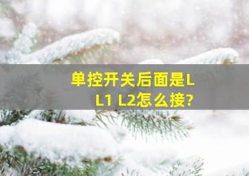 单控开关后面是L L1 L2怎么接?