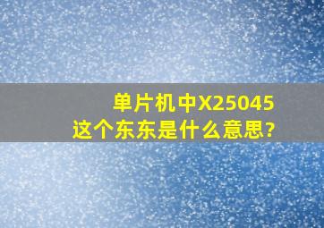 单片机中X25045这个东东是什么意思?