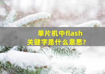 单片机中flash关键字是什么意思?