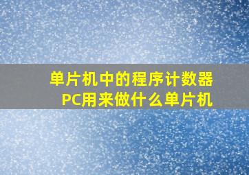 单片机中的程序计数器PC用来做什么单片机