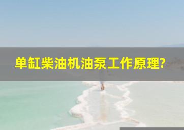 单缸柴油机油泵工作原理?