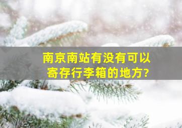 南京南站有没有可以寄存行李箱的地方?