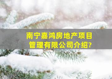 南宁嘉鸿房地产项目管理有限公司介绍?