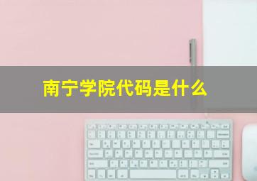 南宁学院代码是什么(