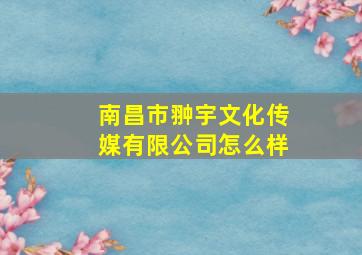 南昌市翀宇文化传媒有限公司怎么样(