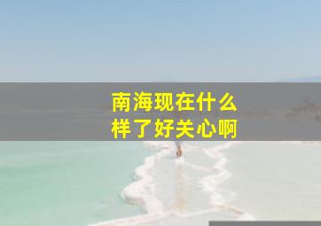 南海现在什么样了,好关心啊