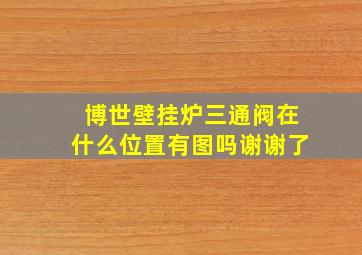 博世壁挂炉三通阀在什么位置有图吗,谢谢了