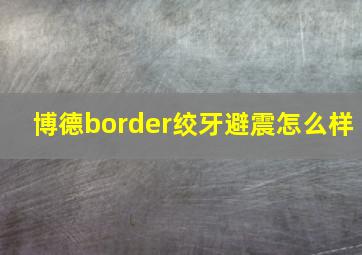 博德border绞牙避震怎么样