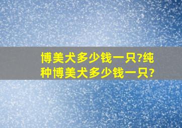 博美犬多少钱一只?纯种博美犬多少钱一只?