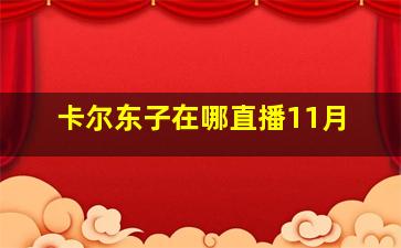 卡尔东子在哪直播11月