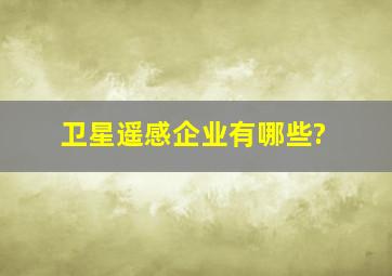 卫星遥感企业有哪些?