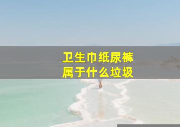 卫生巾纸尿裤属于什么垃圾