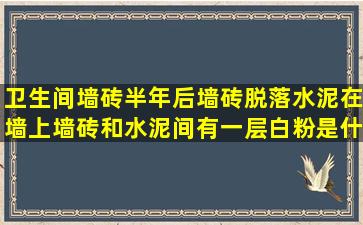 卫生间墙砖半年后墙砖脱落水泥在墙上墙砖和水泥间有一层白粉是什么...