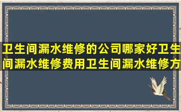 卫生间漏水维修的公司哪家好卫生间漏水维修费用卫生间漏水维修方法