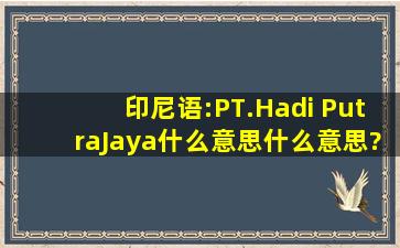 印尼语:PT.Hadi PutraJaya什么意思什么意思?