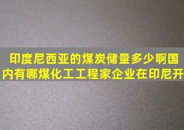 印度尼西亚的煤炭储量多少啊(国内有哪煤化工工程家企业在印尼开