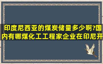 印度尼西亚的煤炭储量多少啊?国内有哪煤化工工程家企业在印尼开...