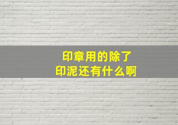 印章用的除了印泥还有什么啊