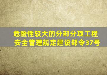 危险性较大的分部分项工程安全管理规定(建设部令37号)