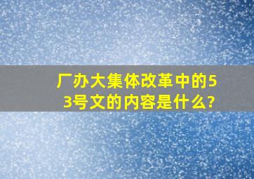 厂办大集体改革中的53号文的内容是什么?