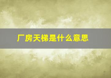 厂房天梯是什么意思 