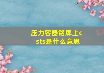 压力容器铭牌上cs,ts是什么意思