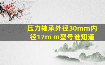 压力轴承外径30mm,内径17m m型号谁知道