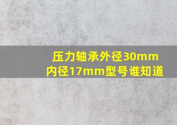 压力轴承外径30mm内径17mm型号谁知道