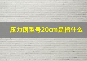 压力锅型号20cm是指什么(