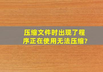 压缩文件时出现了程序正在使用无法压缩?