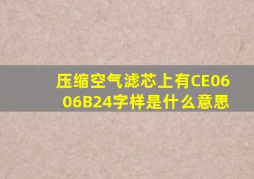 压缩空气滤芯上有CE0606B24字样是什么意思