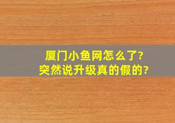 厦门小鱼网怎么了?突然说升级,真的假的?