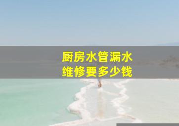 厨房水管漏水维修要多少钱