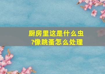 厨房里这是什么虫?像跳蚤,怎么处理