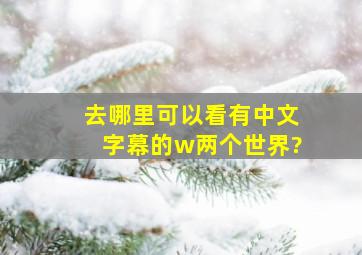 去哪里可以看有中文字幕的w两个世界?