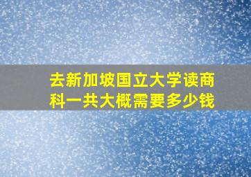 去新加坡国立大学读商科一共大概需要多少钱