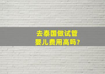 去泰国做试管婴儿费用高吗?