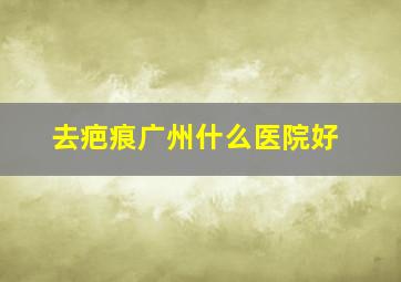 去疤痕广州什么医院好