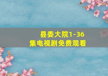 县委大院1-36集电视剧免费观看