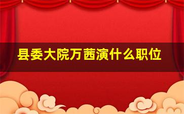 县委大院万茜演什么职位