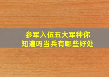 参军入伍五大军种你知道吗当兵有哪些好处